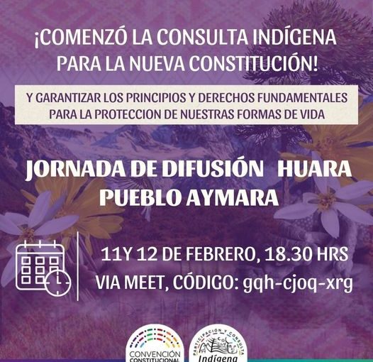 Consulta Indigena