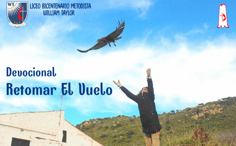 RETORMAR EL VUELO